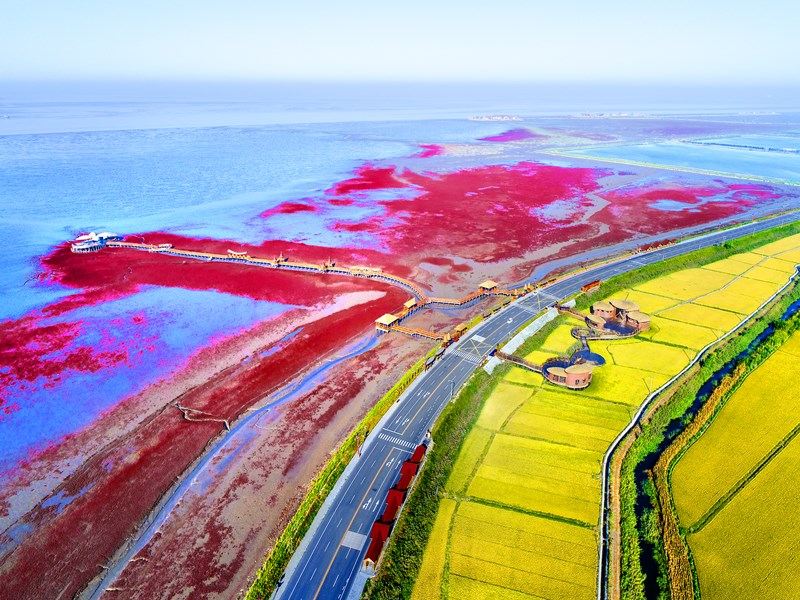 China’s Top Ten Charming Wetland Cities: A Great Destination for Self-Driving Tours