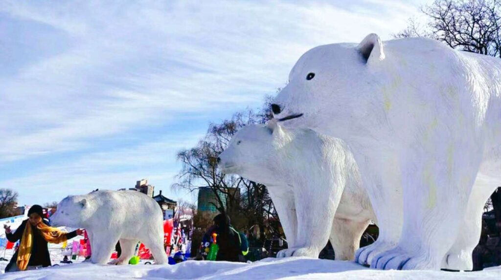 Liaoning Dongdaihe Dragon Lake Ice and Snow Carnival – Thrilling Winter Adventures
